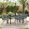 Ensemble de salle à manger pour jardin avec coussin 5 pcs Gris 563423563423