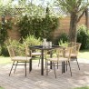 Ensemble de salle à manger pour jardin 5 pcs Marron polyrotin 563427563427