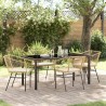 Ensemble de salle à manger pour jardin 5 pcs Marron polyrotin 563429563429