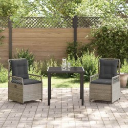 Ensemble de salle à manger pour jardin 3 pcs Gris clair 563478563478