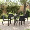 Ensemble de salle à manger pour jardin 5 pcs Noir 563502563502