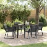 Ensemble de salle à manger pour jardin 5 pcs Noir 563558563558