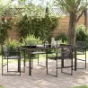 Ensemble de salle à manger pour jardin 5 pcs Noir 563598563598