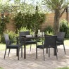 Ensemble de salle à manger pour jardin 5 pcs Noir et gris 563630563630