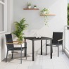Ensemble de salle à manger pour jardin 3 pcs Noir 563648563648