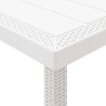 Ensemble de salle à manger pour jardin 5 pcs Blanc Rattan Polt 563804563804