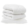 Couette avec oreiller 2 pcs Blanc Microfibre 563972563972