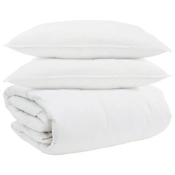 Ensemble de Duvet avec oreiller 3 pcs Blanc Plume de canard 563987563987