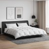 Ensemble de Duvet avec oreiller 3 pcs Blanc Plume de canard 564006564006