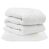 Ensemble de Duvet avec oreiller 2 pcs Blanc Microfibre 564019564019