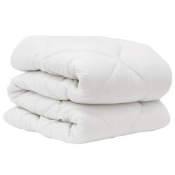 Ensemble de Duvet avec oreiller 2 pcs Blanc Microfibre 564048564048