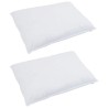 Ensemble de Duvet avec oreiller 3 pcs Blanc Plume de canard 564069564069