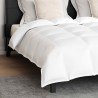Ensemble de Duvet avec oreiller 3 pcs Blanc Plume de canard 564069564069