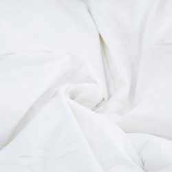 Ensemble de Duvet avec oreiller 3 pcs Blanc Plume de canard 564069564069