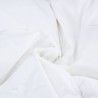 Ensemble de Duvet avec oreiller 3 pcs Blanc Plume de canard 564069564069
