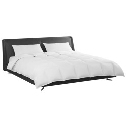 Ensemble de Duvet avec oreiller 3 pcs Blanc Plume de canard 564083564083