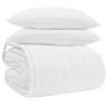 Ensemble de Duvet avec oreiller 3 pcs Blanc Plume de canard 564091564091