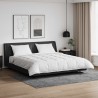 Ensemble de Duvet avec oreiller 3 pcs Blanc Plume de canard 564095564095