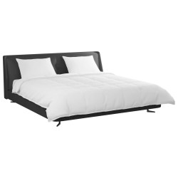Ensemble de Duvet avec oreiller 3 pcs Blanc Plume de canard 564095564095