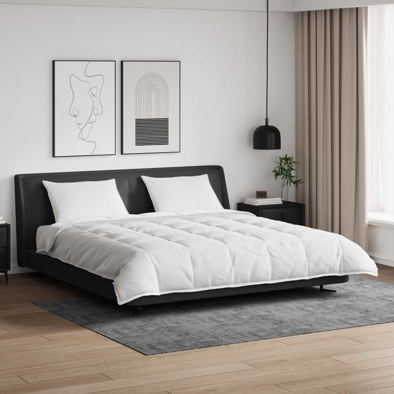 Ensemble de Duvet avec oreiller 3 pcs Blanc Plume de canard 564096564096