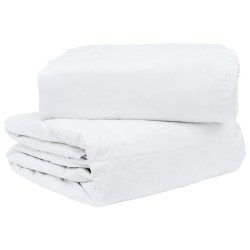 Ensemble de Duvet avec oreiller 3 pcs Blanc Plume de canard 564105564105