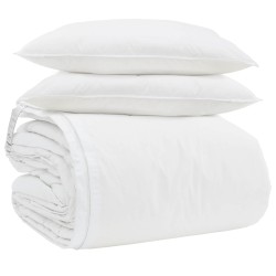 Ensemble de Duvet avec oreiller 3 pcs Blanc Plume de canard 564117564117