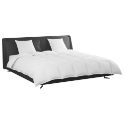 Ensemble de Duvet avec oreiller 3 pcs Blanc Plume de canard 564135564135