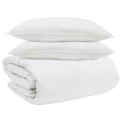 Ensemble de Duvet avec oreiller 3 pcs Blanc Plume de canard 564139564139