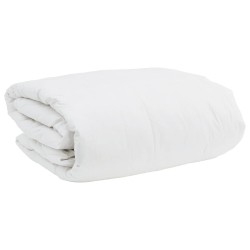 Ensemble de Duvet avec oreiller 3 pcs Blanc Plume de canard 564143564143