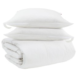 Ensemble de Duvet avec oreiller 3 pcs Blanc Plume de canard 564144564144