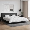 Ensemble de Duvet avec oreiller 3 pcs Blanc Plume de canard 564145564145