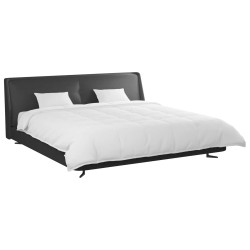 Ensemble de Duvet avec oreiller 3 pcs Blanc Plume de canard 564145564145