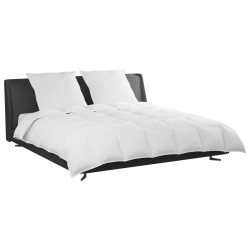Ensemble de Duvet avec oreiller 3 pcs Blanc Plume de canard 564152564152