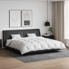 Ensemble de Duvet avec oreiller 3 pcs Blanc Plume de canard 564167564167