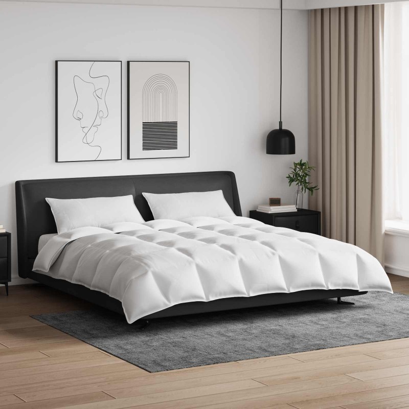 Ensemble de Duvet avec oreiller 3 pcs Blanc Plume de canard 564173564173