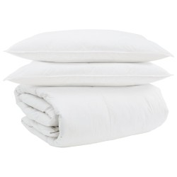 Ensemble de Duvet avec oreiller 3 pcs Blanc Plume de canard 564173564173