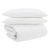 Ensemble de Duvet avec oreiller 3 pcs Blanc Plume de canard 564173564173
