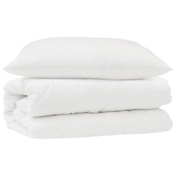 Ensemble de Duvet avec oreiller 2 pcs Blanc Microfibre 564189564189