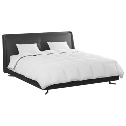 Duvet d'hiver avec oreiller 3 pcs Blanc Plume de canard 564217564217