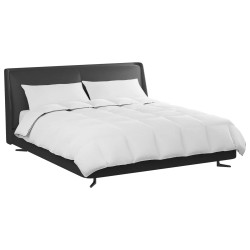 Duvet d'hiver avec oreiller 3 pcs Blanc Plume de canard 564232564232