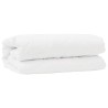 Ensemble de Duvet avec oreiller 2 pcs Blanc Microfibre 564238564238