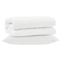Ensemble de Duvet avec oreiller 2 pcs Blanc Microfibre 564240564240
