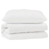 Ensemble de Duvet avec oreiller 2 pcs Blanc Microfibre 564249564249