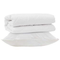 Ensemble de Duvet avec oreiller 2 pcs Blanc Microfibre 564254564254