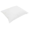 Ensemble de Duvet avec oreiller 2 pcs Blanc Microfibre 564258564258