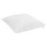 Ensemble de Duvet avec oreiller 2 pcs Blanc Microfibre 564290564290