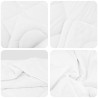 Ensemble de Duvet avec oreiller 2 pcs Blanc Microfibre 564291564291