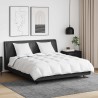 Duvet d'hiver avec oreiller 3 pcs Blanc Plume de canard 564295564295