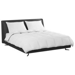 Duvet d'hiver avec oreiller 3 pcs Blanc Plume de canard 564296564296