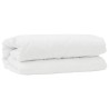 Ensemble de Duvet avec oreiller 2 pcs Blanc Microfibre 564359564359